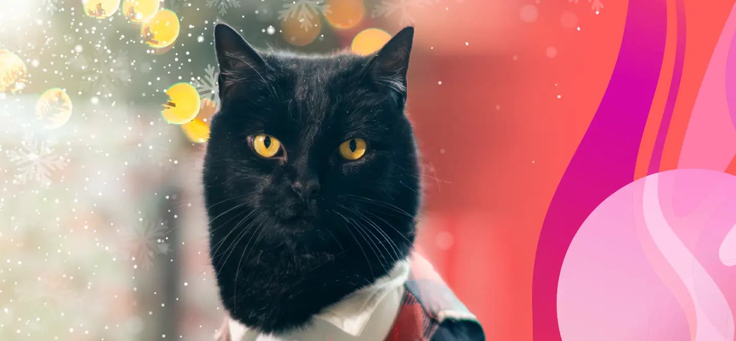 “Whisker” Wonderland: Viral Kitty Shares Fun Holiday Activities