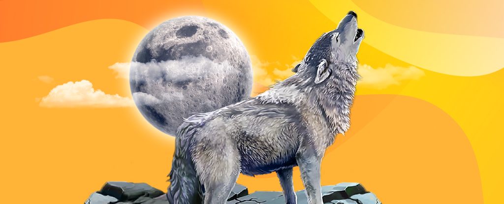 A 3D-animated wolf from the SlotsLV online slot, Mythic Wolf, stands on a large broken rock with its head up while howling at the moon which is seen in the distance. Behind is a two-tone orange abstract background.