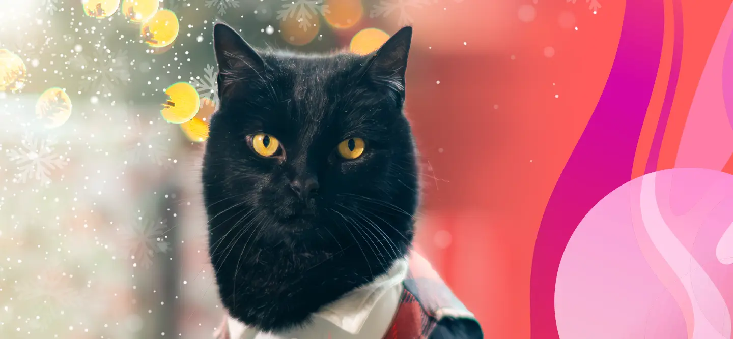 The black cat, Simon “backpackingkitty”, wears a plaid sweater vest, standing in front of a festive background.