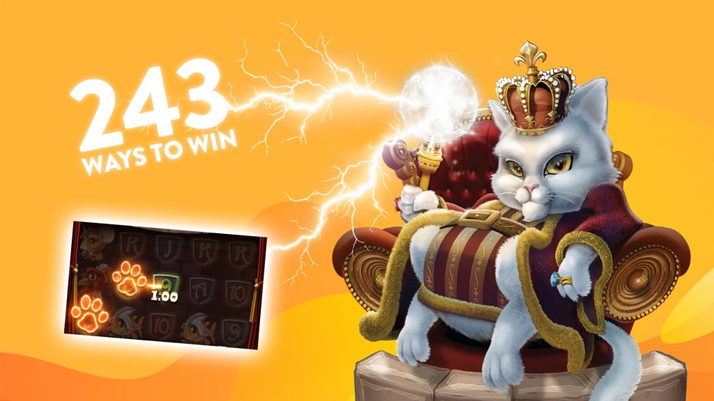 Cat Kingdom's character on the right side, game screenshot on the bottom left and 243 ways to win on the top left corner.