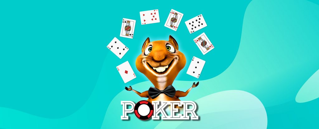 A squirrel holds casino cards over the word Poker